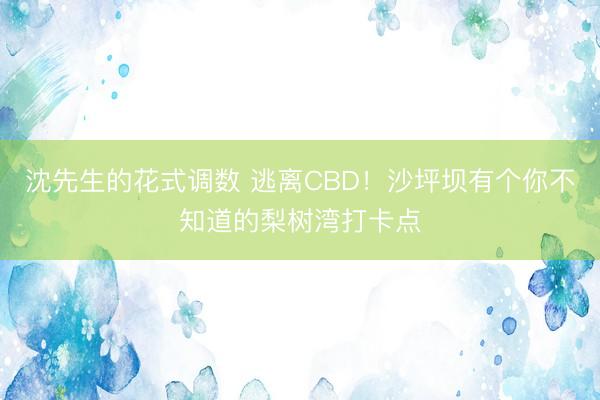 沈先生的花式调数 逃离CBD！沙坪坝有个你不知道的梨树湾打卡点