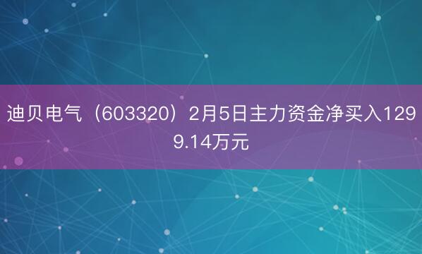 迪贝电气（603320）2月5日主力资金净买入1299.14万元