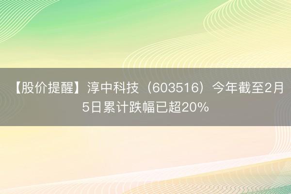 【股价提醒】淳中科技（603516）今年截至2月5日累计跌幅已超20%