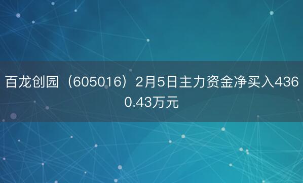 百龙创园（605016）2月5日主力资金净买入4360.43万元