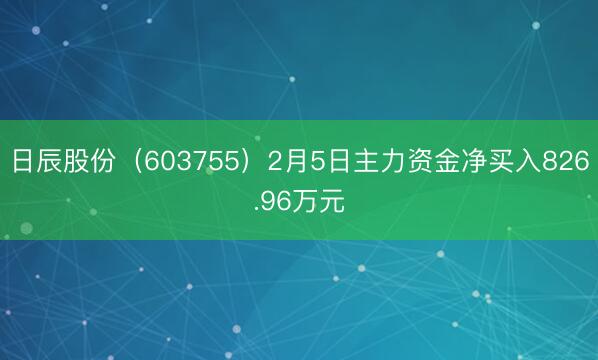 日辰股份（603755）2月5日主力资金净买入826.96万元