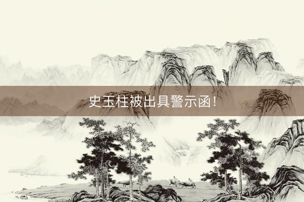 史玉柱被出具警示函！