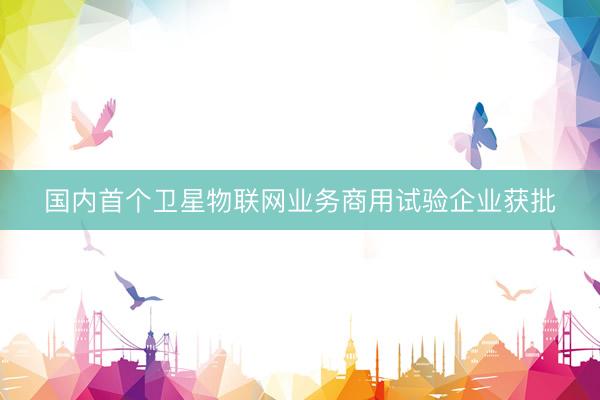 国内首个卫星物联网业务商用试验企业获批