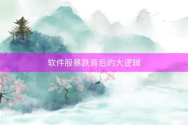 软件股暴跌背后的大逻辑