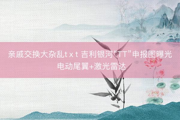 亲戚交换大杂乱tⅹt 吉利银河“TT”申报图曝光 电动尾翼+激光雷达