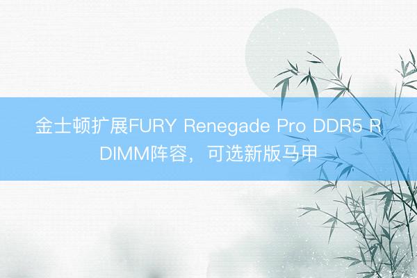 金士顿扩展FURY Renegade Pro DDR5 RDIMM阵容，可选新版马甲