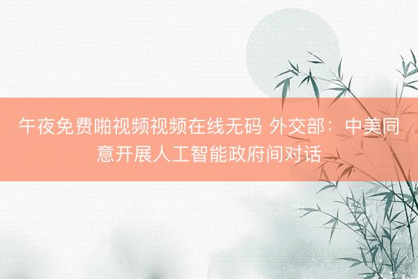 午夜免费啪视频视频在线无码 外交部：中美同意开展人工智能政府间对话