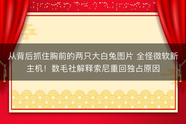 从背后抓住胸前的两只大白兔图片 全怪微软新主机！数毛社解释索尼重回独占原因