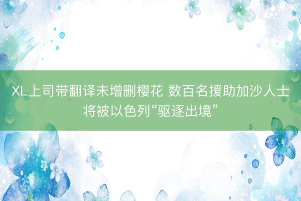 XL上司带翻译未增删樱花 数百名援助加沙人士将被以色列“驱逐出境”