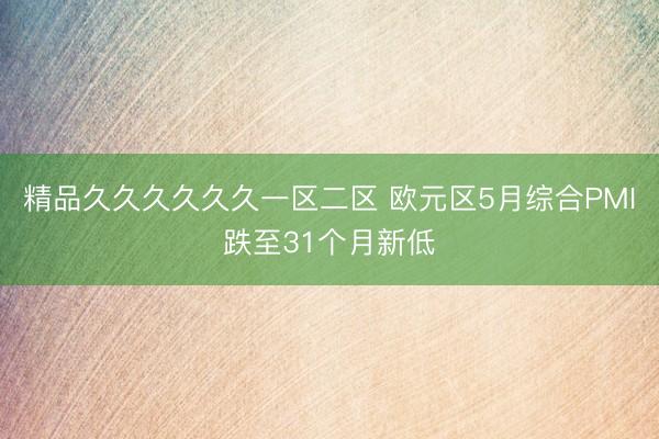 精品久久久久久久一区二区 欧元区5月综合PMI跌至31个月新低