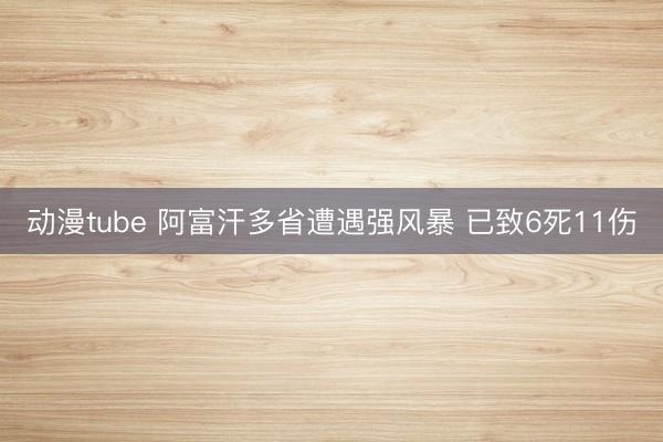动漫tube 阿富汗多省遭遇强风暴 已致6死11伤