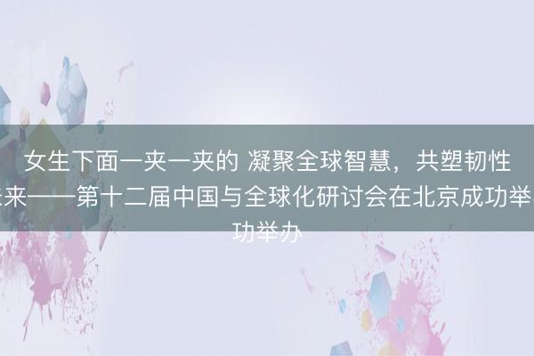 女生下面一夹一夹的 凝聚全球智慧，共塑韧性未来——第十二届中国与全球化研讨会在北京成功举办