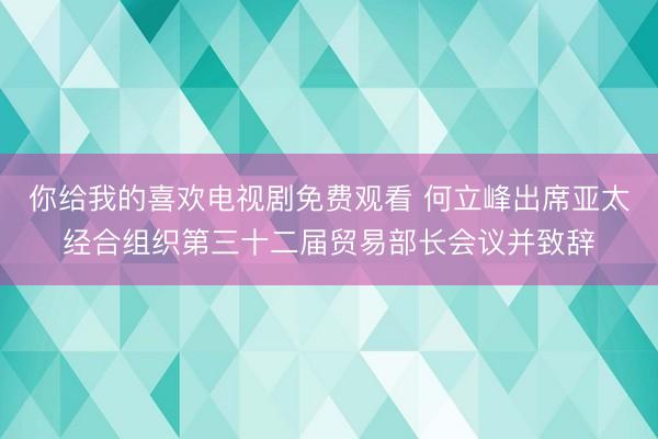 你给我的喜欢电视剧免费观看 何立峰出席亚太经合组织第三十二届贸易部长会议并致辞