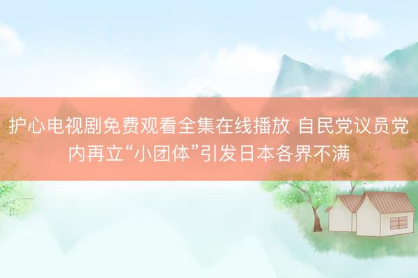 护心电视剧免费观看全集在线播放 自民党议员党内再立“小团体”引发日本各界不满