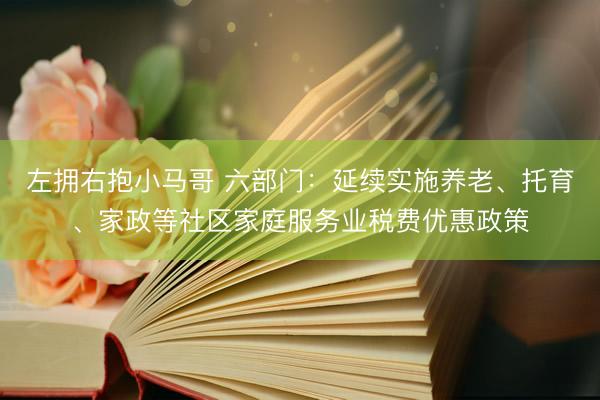 左拥右抱小马哥 六部门：延续实施养老、托育、家政等社区家庭服务业税费优惠政策