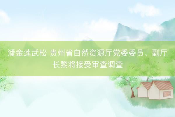 潘金莲武松 贵州省自然资源厅党委委员、副厅长黎将接受审查调查