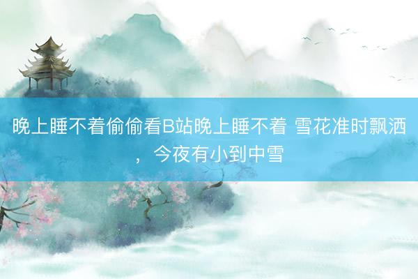 晚上睡不着偷偷看B站晚上睡不着 雪花准时飘洒，今夜有小到中雪