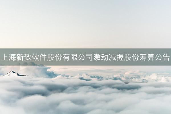 上海新致软件股份有限公司激动减握股份筹算公告