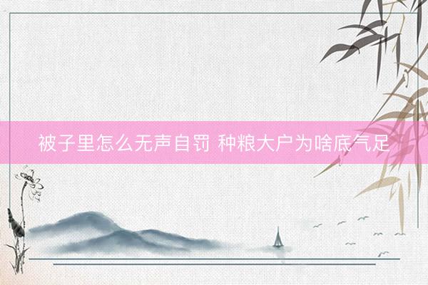 被子里怎么无声自罚 种粮大户为啥底气足