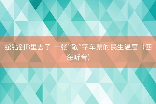 蛇钻到B里去了 一张“敬”字车票的民生温度（四海听音）