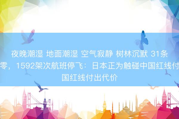 夜晚潮湿 地面潮湿 空气寂静 树林沉默 31条航路归零，1592架次航班停飞：日本正为触碰中国红线付出代价