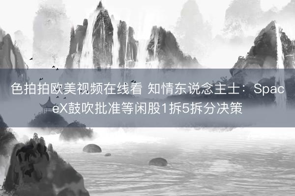 色拍拍欧美视频在线看 知情东说念主士：SpaceX鼓吹批准等闲股1拆5拆分决策