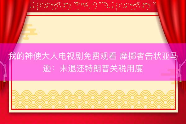 我的神使大人电视剧免费观看 糜掷者告状亚马逊：未退还特朗普关税用度