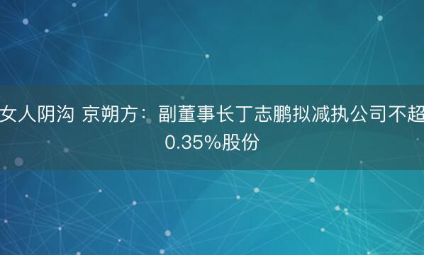 女人阴沟 京朔方：副董事长丁志鹏拟减执公司不超0.35%股份