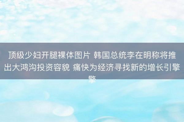 顶级少妇开腿裸体图片 韩国总统李在明称将推出大鸿沟投资容貌 痛快为经济寻找新的增长引擎