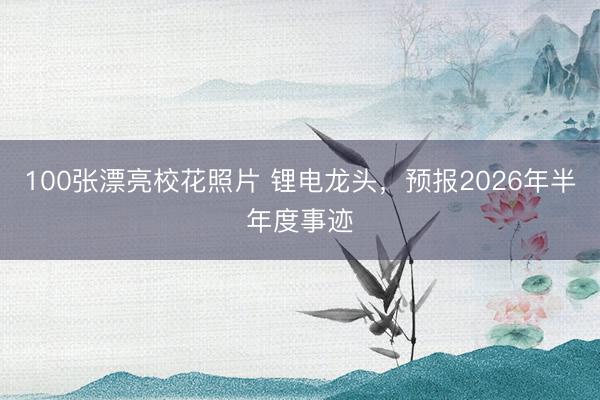 100张漂亮校花照片 锂电龙头，预报2026年半年度事迹