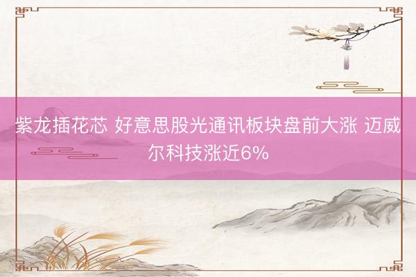 紫龙插花芯 好意思股光通讯板块盘前大涨 迈威尔科技涨近6%