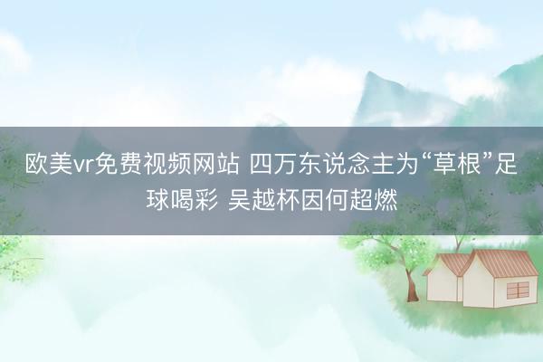 欧美vr免费视频网站 四万东说念主为“草根”足球喝彩 吴越杯因何超燃