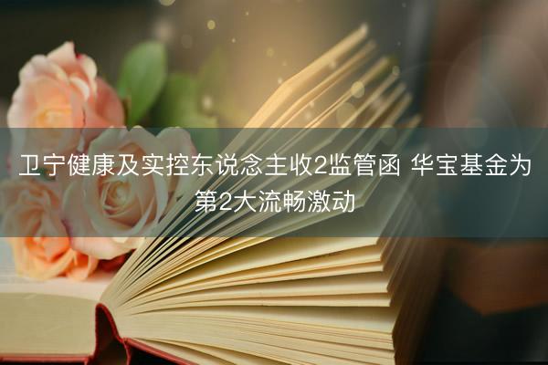 卫宁健康及实控东说念主收2监管函 华宝基金为第2大流畅激动